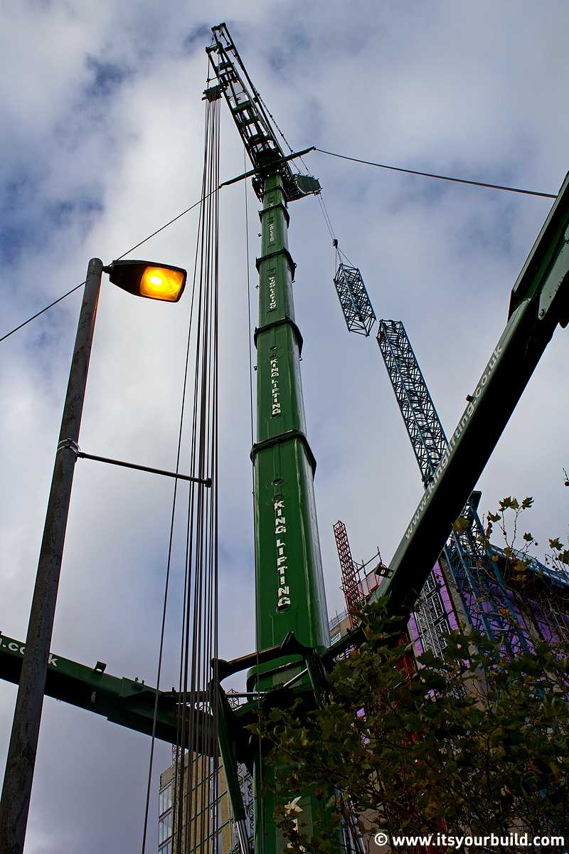 Cranes Across the City